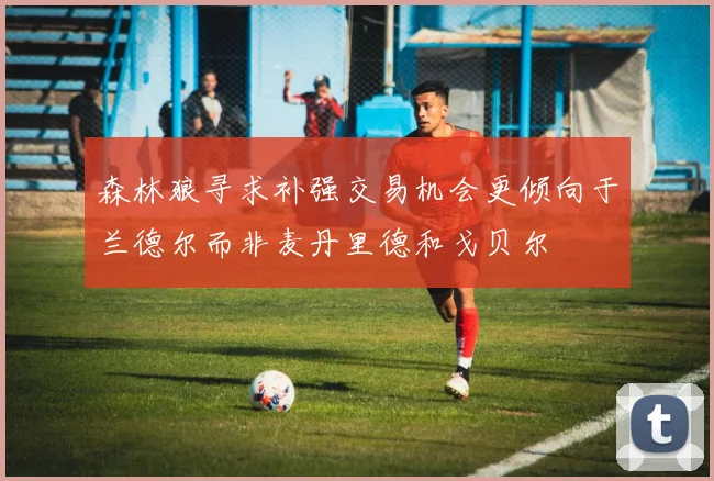 森林狼寻求补强交易机会更倾向于兰德尔而非麦丹里德和戈贝尔